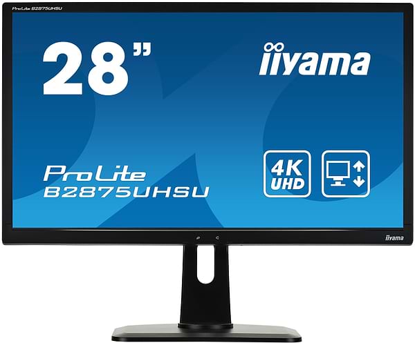 Фото - Монитор IIYAMA B2875UHSU-B1
