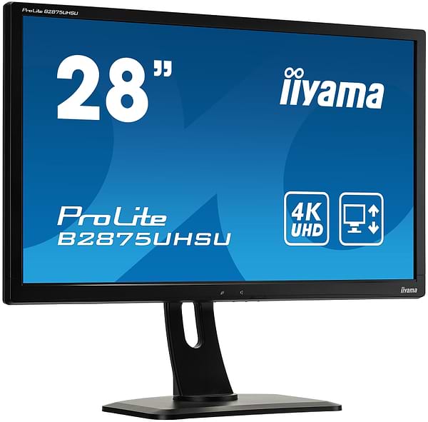 Фото - Монитор IIYAMA B2875UHSU-B1