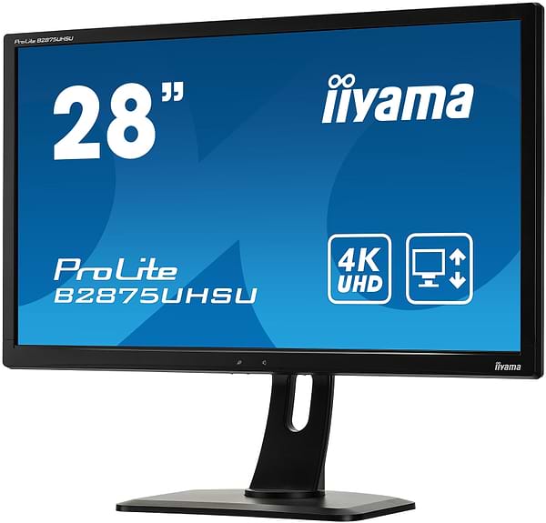Фото - Монитор IIYAMA B2875UHSU-B1