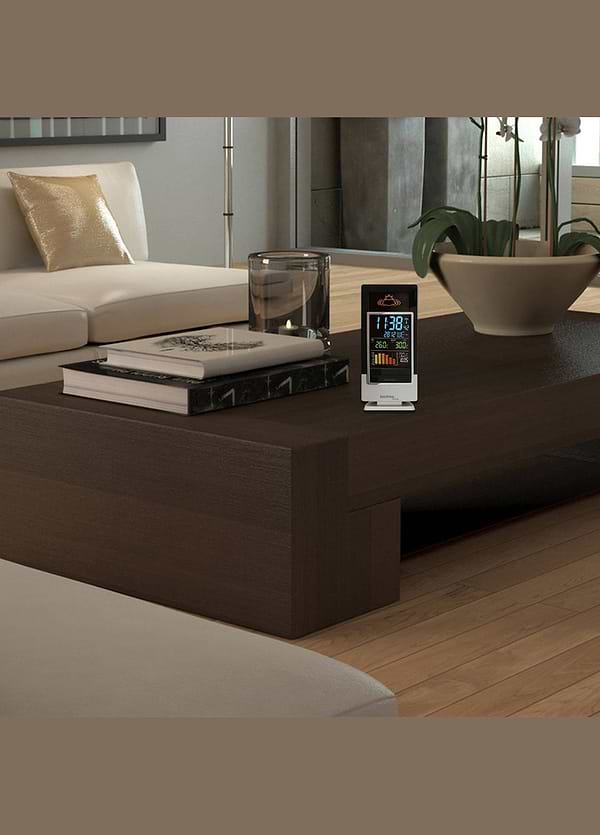 Фото - Метеостанція Technoline Black/Silver (WS6502)