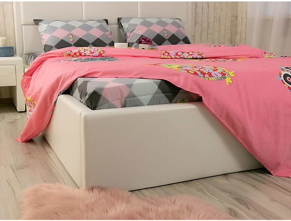 Фото - Комплект постельного белья Руно Owl сатин (845.137К_Owl)