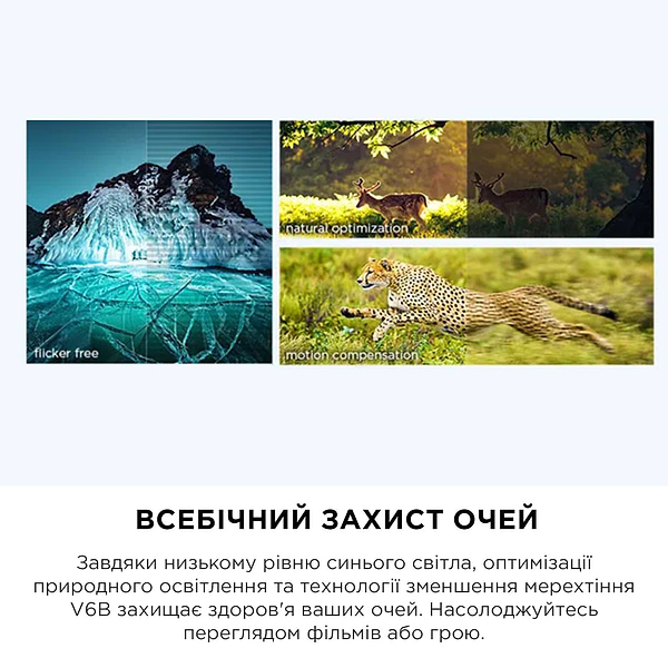 Фото - Телевизор TCL 55V6B