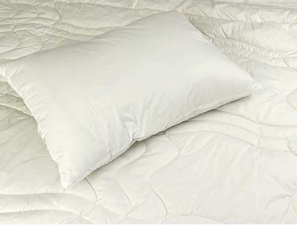 Фото - Одеяло зимнее двуспальное Руно 172х205 шерстяное (316.29ШЕУ_белый)