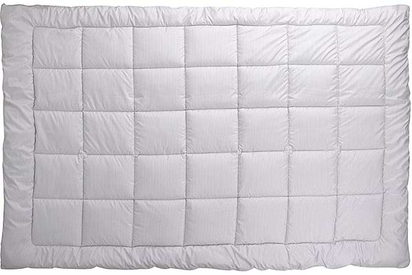 Фото - Ковдра демісезонна двоспальна євро Руно 200х220 силіконова (322.52_Elegante)