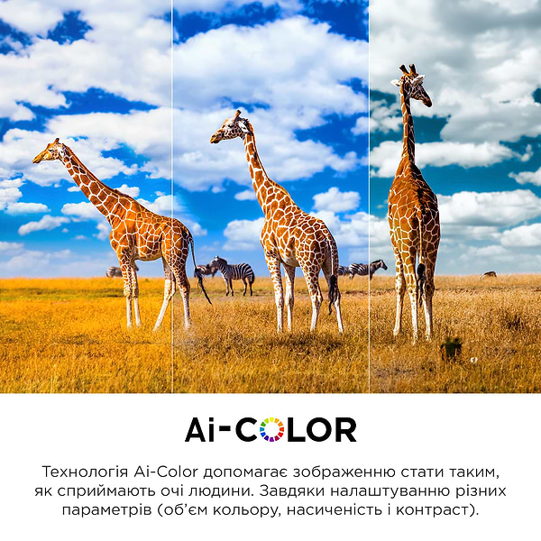 Фото - Телевізор TCL 65C745