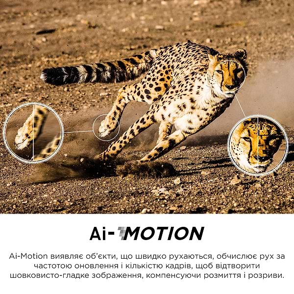 Фото - Телевізор TCL 65C745