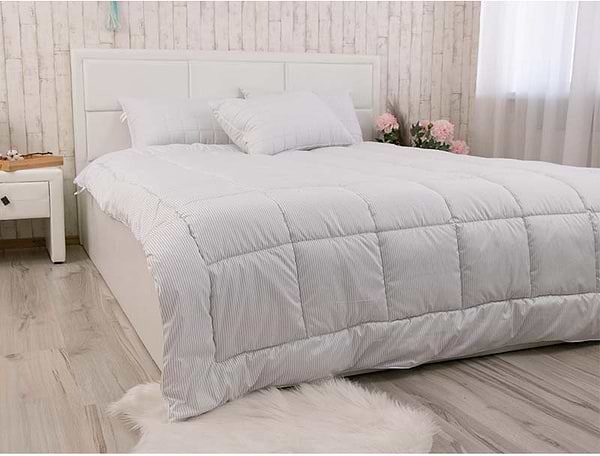 Фото - Ковдра демісезонна двоспальна євро Руно 200х220 силіконова (322.52_Elegante)