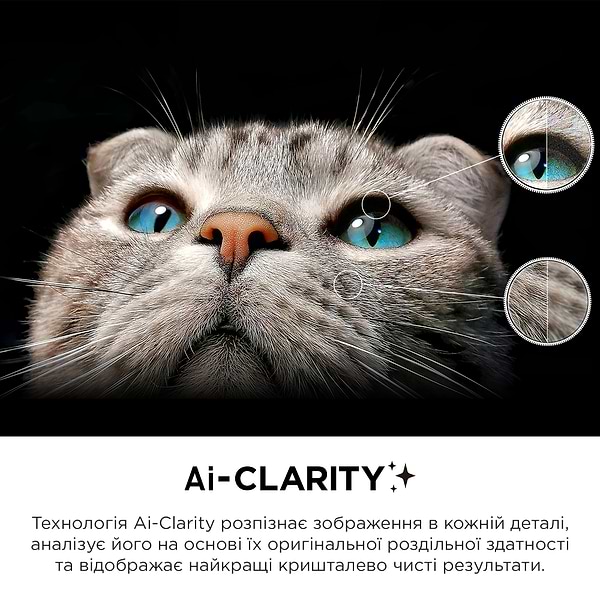 Фото - Телевізор TCL 98C845