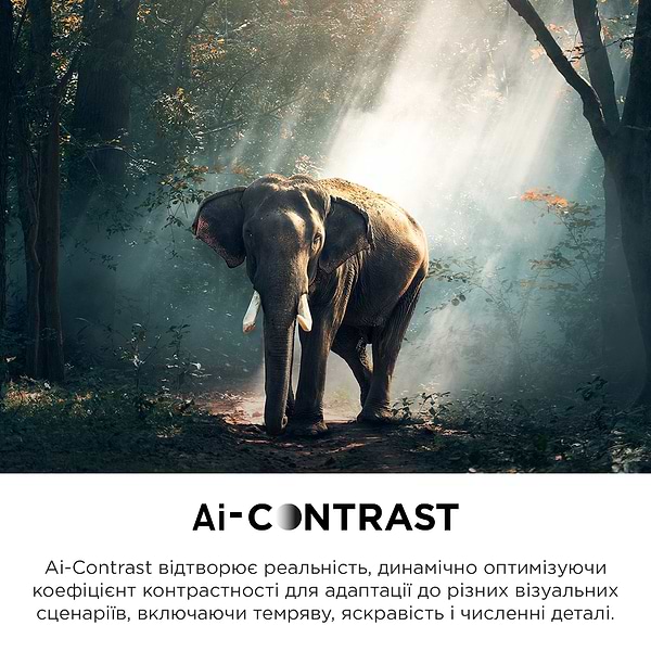 Фото - Телевізор TCL 65C745