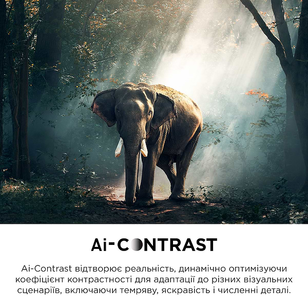 Фото - Телевизор TCL 55C845