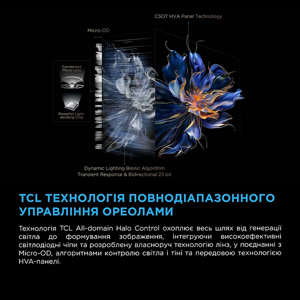 Фото - Телевізор TCL 65C6K