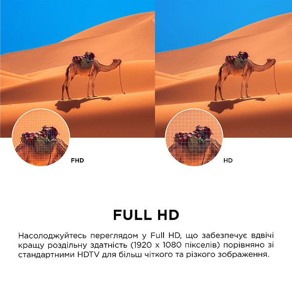 Фото - Телевизор TCL 40S5K