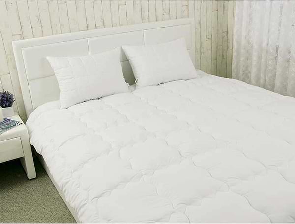 Фото - Одеяло зимнее двуспальное евро Руно 200х220 силиконовое (322.52_Warm Silver)