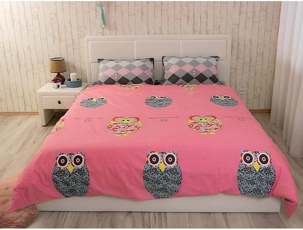 Фото - Комплект постельного белья Руно Owl сатин (845.137К_Owl)