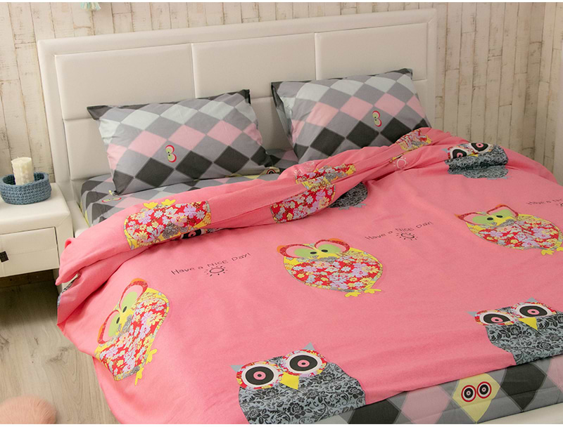 Комплект постільної білизни Руно Owl сатин (655.137К_Owl) - Фото 1