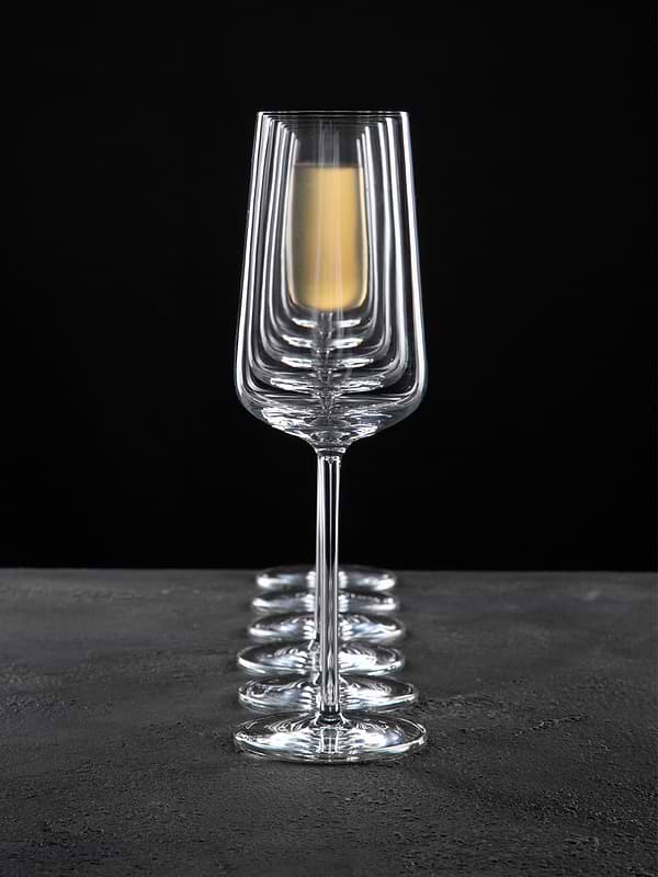 Фото - Набор бокалов Schott Zwiesel 6 шт. бокал для шампанского 0,348 л 121407