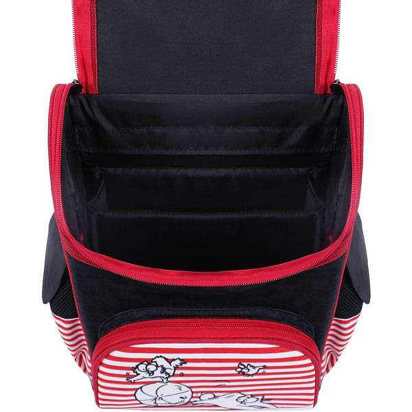 Фото - Рюкзак школьный Bagland Успех – 12 л. черный 374