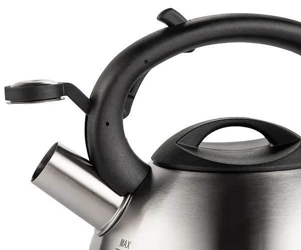 Фото - Чайник металевий Tefal C7921024 2.5 л