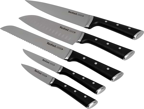 Фото - Набір ножів Tefal K232S574 Ice Force 6 пр