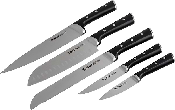 Фото - Набір ножів Tefal K232S574 Ice Force 6 пр