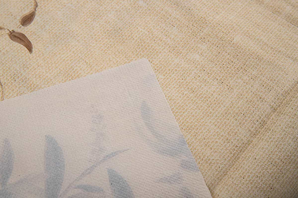 Фото - Клейонка DarianA Flizelin 1,35x1м ES1144-2 (1000010687)