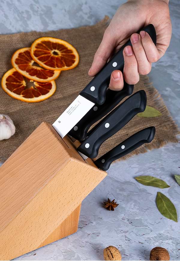 Фото - Набір ножів WMF 1874699990 CLASSIC LINE 6 пр.