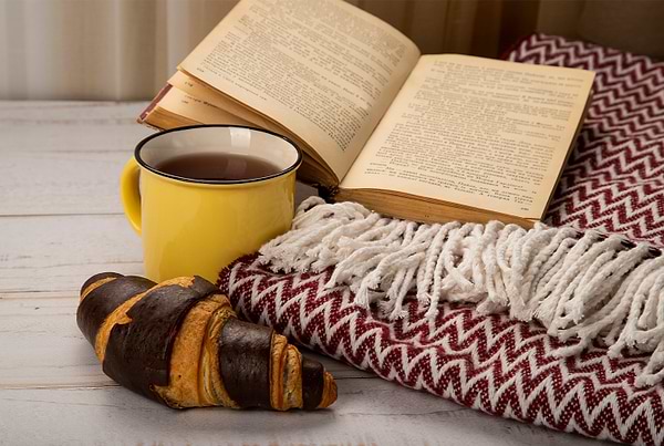 Фото - Плед полуторный Vladi Валенсия Антонио бордо 140х200