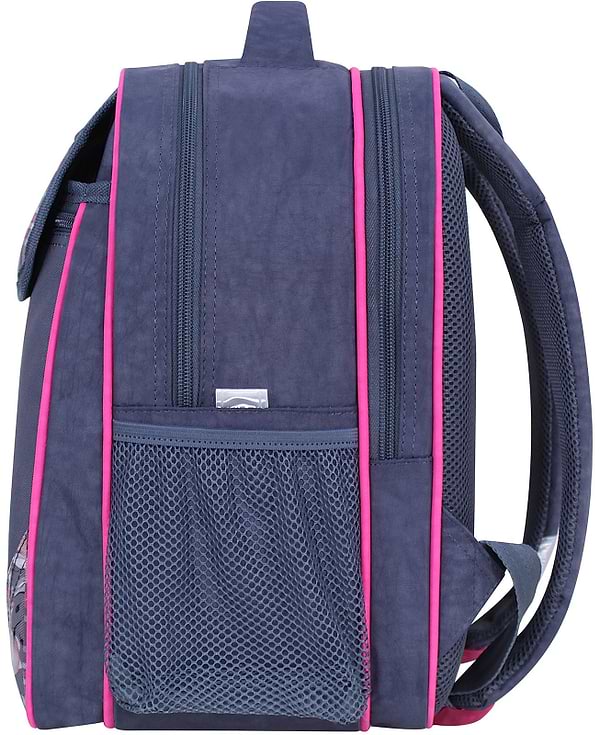 Фото - Рюкзак шкільний Bagland Відмінник 20 л. 321 Сiрий 1090