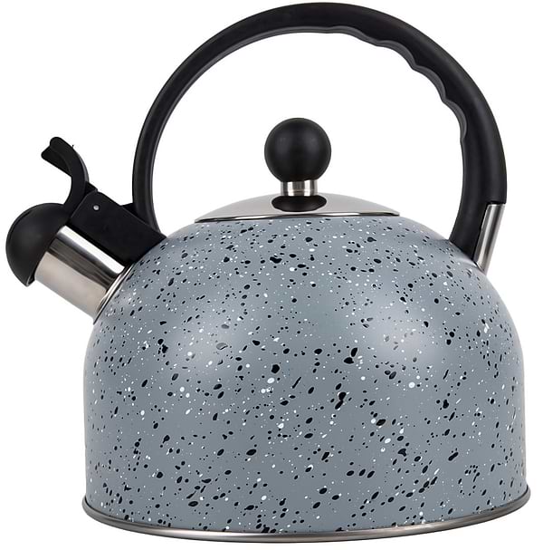 Фото - Чайник металлический Gusto GT-1414-25 Геракл