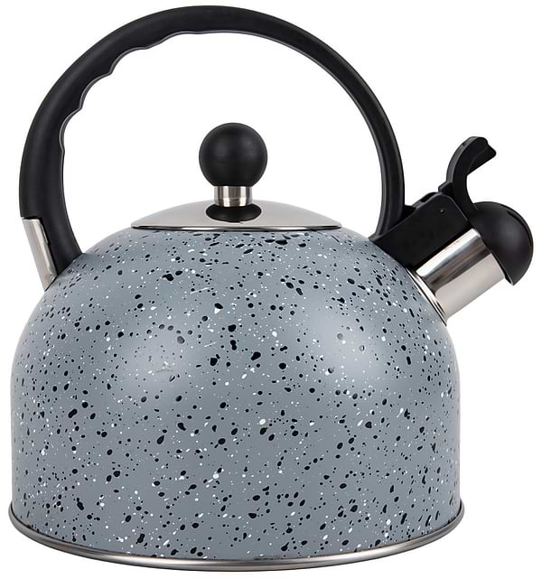 Фото - Чайник металлический Gusto GT-1414-25 Геракл