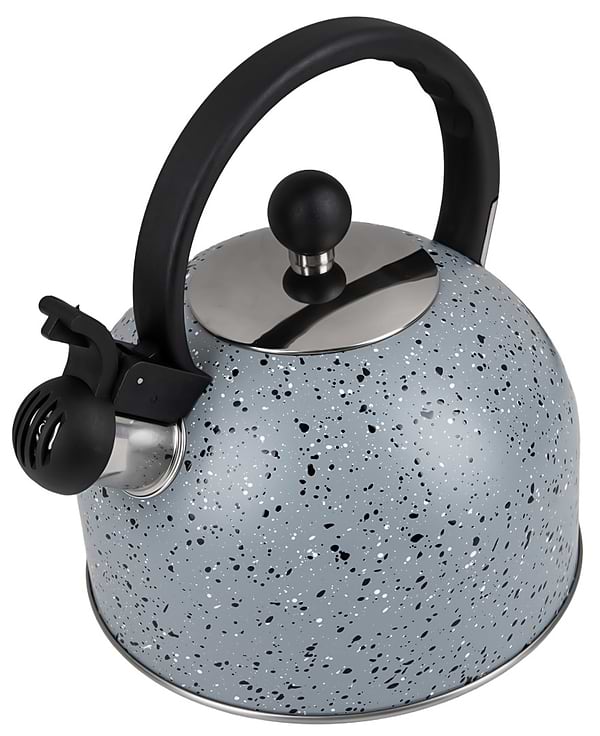 Фото - Чайник металлический Gusto GT-1414-25 Геракл