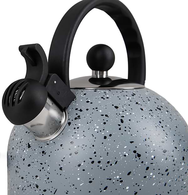 Фото - Чайник металлический Gusto GT-1414-25 Геракл