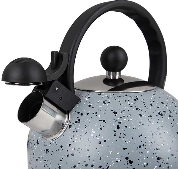 Фото - Чайник металлический Gusto GT-1414-25 Геракл