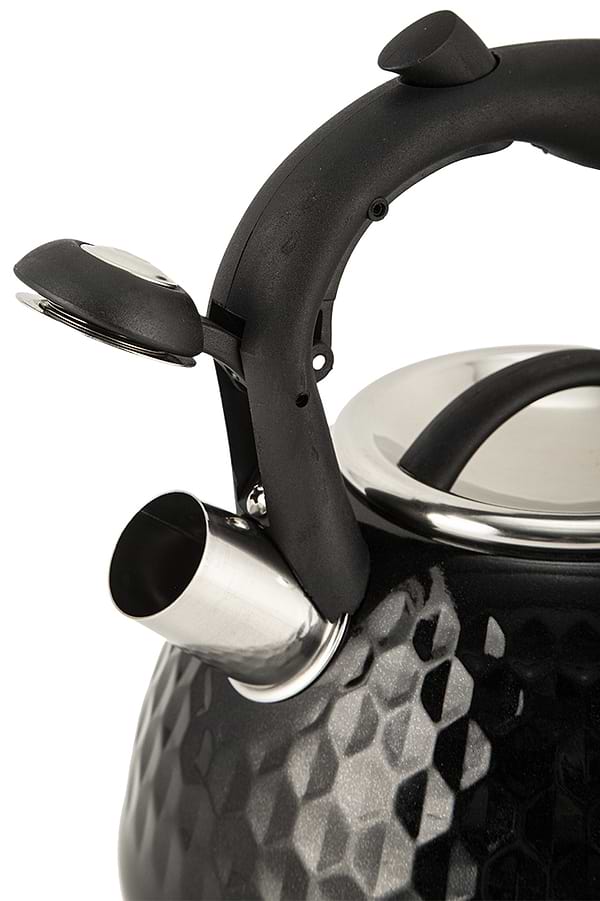 Фото - Чайник металлический RESTO Lyra 2.7 л Black (90606)