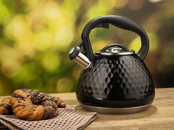 Фото - Чайник металлический RESTO Lyra 2.7 л Black (90606)