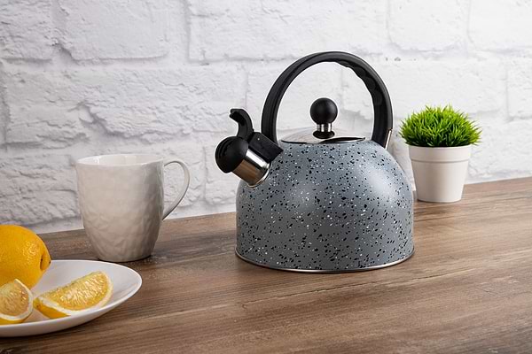 Фото - Чайник металлический Gusto GT-1414-25 Геракл