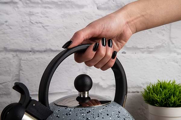 Фото - Чайник металлический Gusto GT-1414-25 Геракл