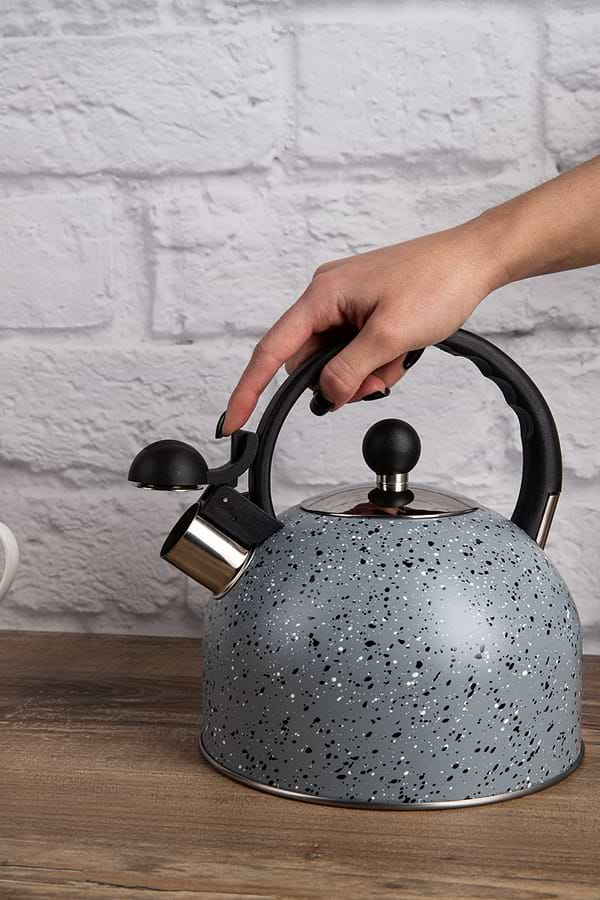 Фото - Чайник металлический Gusto GT-1414-25 Геракл