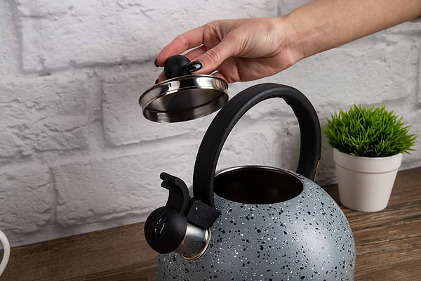 Фото - Чайник металлический Gusto GT-1414-25 Геракл