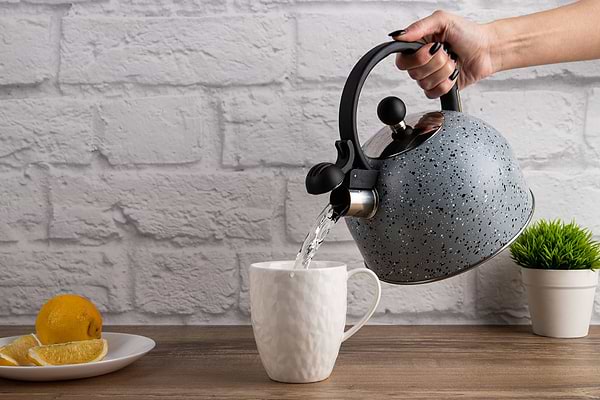 Фото - Чайник металлический Gusto GT-1414-25 Геракл