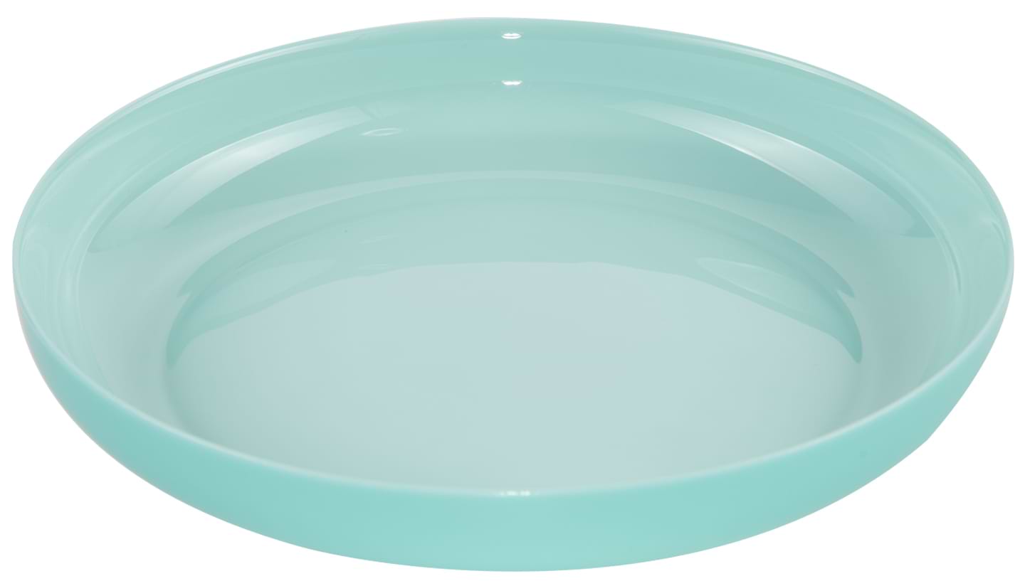 Тарілка обідня Luminarc Friends Time Turquoise 25 см (P6386) - Фото 1