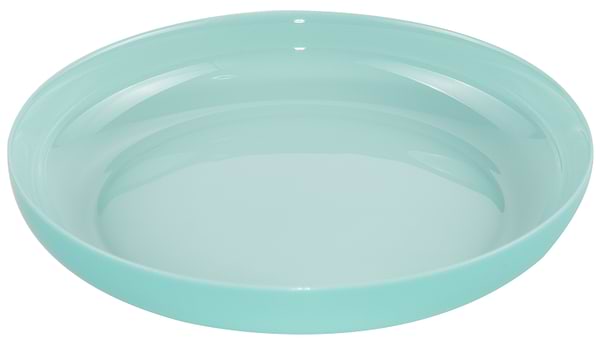 Фото - Тарелка обеденная Luminarc Friends Time Turquoise 25 см (P6386)