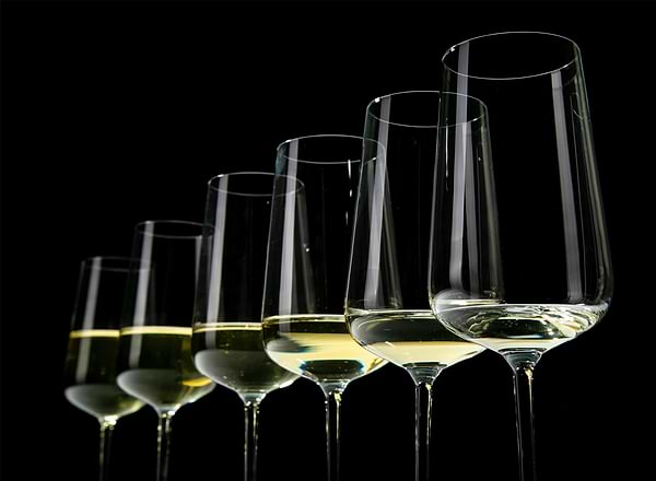 Фото - Набор бокалов Schott Zwiesel 6 шт. бокал для шампанского 0,348 л 121407