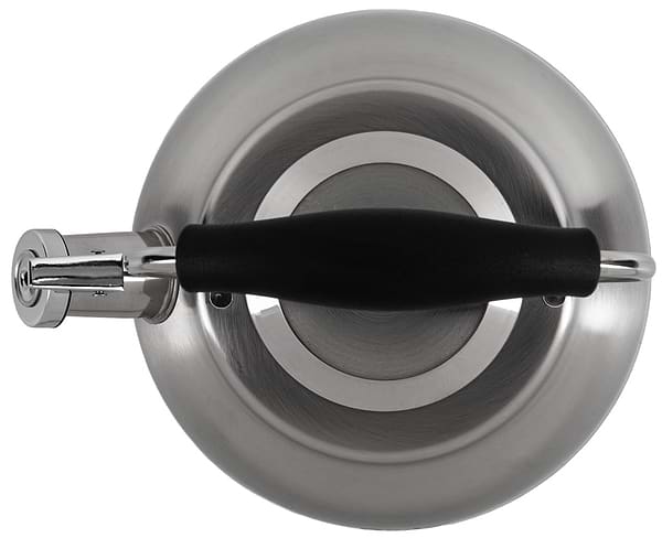 Фото - Чайник металлический Gusto GT-1424-25 Виконт со свистком 2.5 л