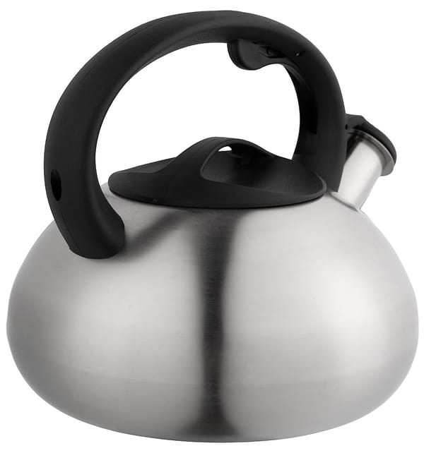 Фото - Чайник металевий Gusto GT-1406-25 2.5 л