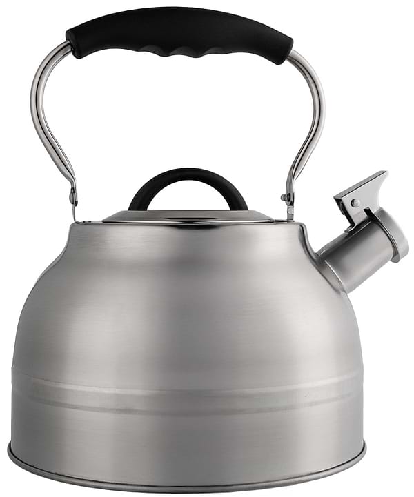 Фото - Чайник металлический Gusto GT-1424-25 Виконт со свистком 2.5 л