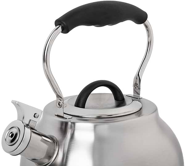 Фото - Чайник металлический Gusto GT-1424-25 Виконт со свистком 2.5 л