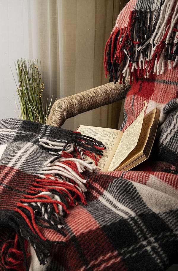 Фото - Плед евро Эльф Noan бело-красный антрацит 200х220