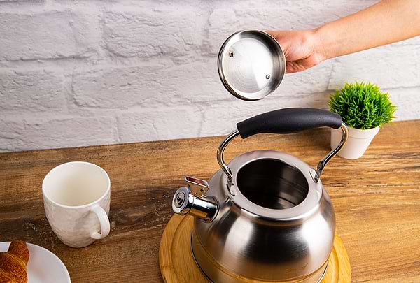 Фото - Чайник металлический Gusto GT-1424-25 Виконт со свистком 2.5 л