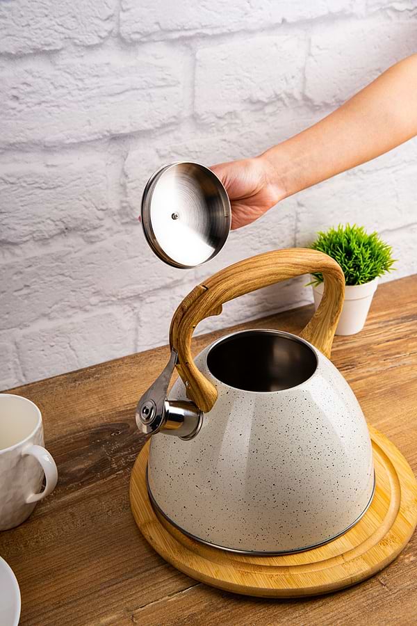 Фото - Чайник металевий Gusto GT-1412-30 Мускус